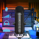 Kit de Microfone Profissional