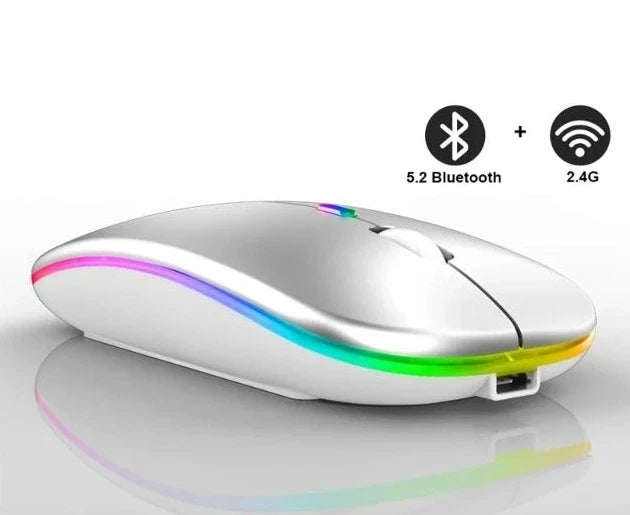 Mouse Ergonômico